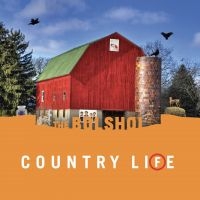 The Bolshoi - Country Life (Green Vinyl & Orange in the group OUR PICKS / Friday Releases / Friday the 3rd of May 2024 at Bengans Skivbutik AB (5537164)