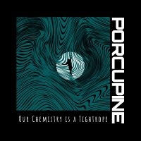 Porcupine - Our Chemistry Is A Tightrope in the group OUR PICKS / Friday Releases / Friday the 3rd of May 2024 at Bengans Skivbutik AB (5538946)