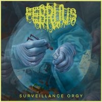 Februus - Surveillance Orgy (Digipack) in the group CD / Hårdrock at Bengans Skivbutik AB (5539502)