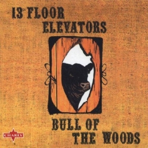 13Th Floor Elevators - Bull Of The Woods in the group CD / Pop-Rock at Bengans Skivbutik AB (5539749)