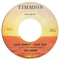 Jimi Tenor & Cold Diamond & Mink - Gaia Sunset (Transparent Yellow) in the group VINYL / Upcoming releases / RnB-Soul at Bengans Skivbutik AB (5539929)