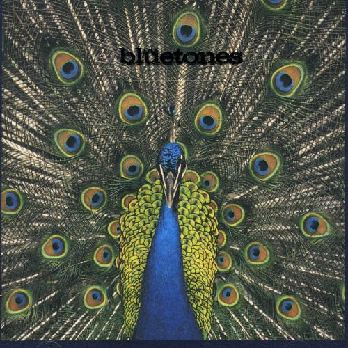 The Bluetones - Expecting To Fly in the group CD / Pop at Bengans Skivbutik AB (554304)