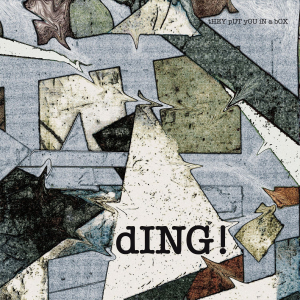 Ding - tHEY pUT yOU iN a bOX in the group OUR PICKS / Frontpage - Vinyl New & Forthcoming at Bengans Skivbutik AB (5549172)