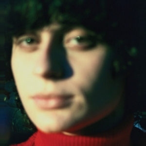 Ana Frango Eletrico - Little Electric Chicken Heart in the group OTHER / Övrigt /  at Bengans Skivbutik AB (5551049)