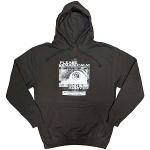Bring Me The Horizon - Remain Calm Fp Uni Grey Hoodie  in the group OTHER / Övrigt /  at Bengans Skivbutik AB (5552115r)
