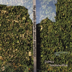 The Pearls Before Swine Experience - Debris Reassembled in the group CD / Klassiskt at Bengans Skivbutik AB (555248)