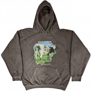 Pink Floyd - Atom Heart M Fade Char Hoodie in the group OTHER / Övrigt /  at Bengans Skivbutik AB (5553930r)