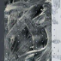 Orcas - How To Color A Thousand Mistakes in the group VINYL / Pop-Rock at Bengans Skivbutik AB (5554181)