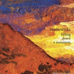 Tindersticks - Falling Down A Mountain in the group CD / Pop at Bengans Skivbutik AB (555449)