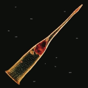 Leprous - Melodies Of Atonement in the group OTHER / Övrigt /  at Bengans Skivbutik AB (5555708)