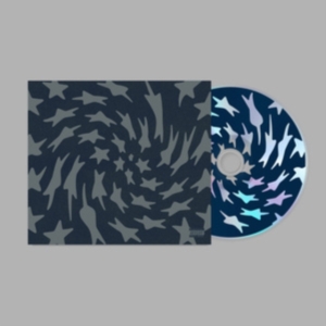 Toro Y Moi - Hole Erth in the group OUR PICKS / Friday Releases / Friday the 6th of september 2024 at Bengans Skivbutik AB (5555736)