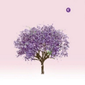 Eels - Tomorrow Morning in the group CD / Pop-Rock at Bengans Skivbutik AB (5556114)