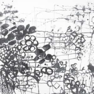 London Frank - Brass Conspiracy in the group OUR PICKS / Friday Releases / Friday the 16th of August at Bengans Skivbutik AB (5556527)