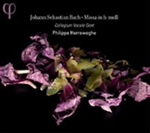 Johann Sebastian Bach - Mass In B Minor in the group Externt_Lager /  at Bengans Skivbutik AB (555845)