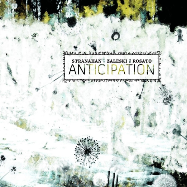 Colin Stranahan & Glenn Zaleski & R - Anticipation in the group CD / Bestsellers at Bengans Skivbutik AB (5559093)
