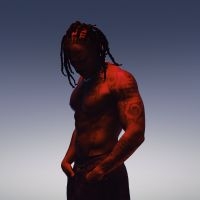 Sir - Heavy in the group VINYL / Pop-Rock at Bengans Skivbutik AB (5560382)