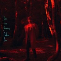 One True Pairing - Endless Rain in the group VINYL / Pop-Rock at Bengans Skivbutik AB (5561977)