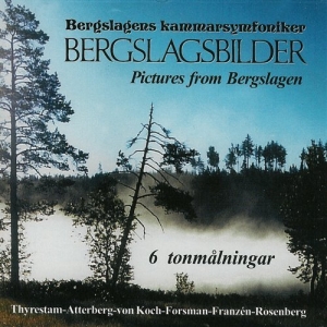 Bergslagens Kammarsymfoniker - Bergslagsbilder in the group Externt_Lager /  at Bengans Skivbutik AB (556293)