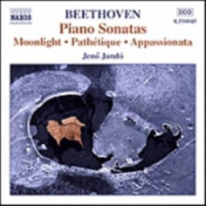 Beethoven Ludwig Van - Piano Sonatos Vol 1 in the group CD / Övrigt at Bengans Skivbutik AB (556356)