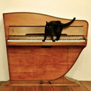 Greg Haines - Moments Eluding in the group CD / Pop-Rock at Bengans Skivbutik AB (556458)