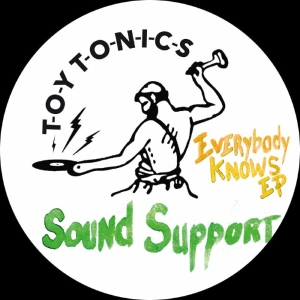 Sound Support - Everybody Knows Ep in the group OUR PICKS / Friday Releases / Friday the 4th of october 2024 at Bengans Skivbutik AB (5565897)