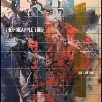 Pineapple Thief The - Last To Run in the group VINYL / Pop-Rock at Bengans Skivbutik AB (5566188)