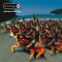 The Prodigy - The Fat Of The Land (Expanded) in the group OUR PICKS / Stock Sale CD / CD Elektronic at Bengans Skivbutik AB (556619)