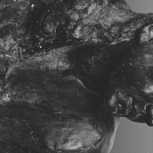 Mother - Ii in the group OTHER / Övrigt / at Bengans Skivbutik AB (5566359)