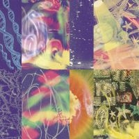 Nap Eyes - The Neon Gate in the group VINYL / Pop-Rock at Bengans Skivbutik AB (5566759)