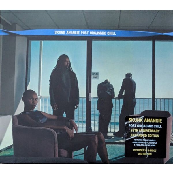 Skunk Anansie - Post Orgasmic Chill in the group CD / Pop-Rock at Bengans Skivbutik AB (5568954)