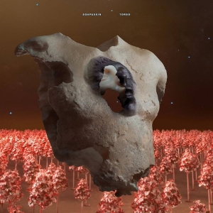 Soap&Skin - Torso in the group CD / Pop-Rock at Bengans Skivbutik AB (5570941)