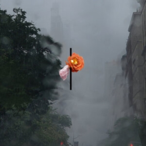 Rosenbaum August - Songs People Together (Clear Vinyl) in the group OTHER / Övrigt / at Bengans Skivbutik AB (5571085)