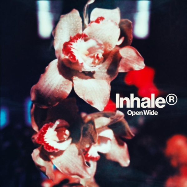 Inhaler - Open Wide in the group VINYL / Pop-Rock at Bengans Skivbutik AB (5571584)