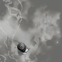 Rats On Rafts - Deep Below (Gray Vinyl) in the group VINYL / Pop-Rock at Bengans Skivbutik AB (5571891)