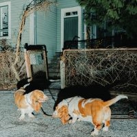 Apulanta - Oire Jostakin (Ep) in the group OUR PICKS / Friday Releases / Friday the 6th december 2024 at Bengans Skivbutik AB (5572494)