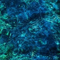 Aoba Ichiko - Luminescent Creatures in the group CD / Japansk Musik,Pop-Rock at Bengans Skivbutik AB (5572830)