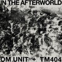 Om Unit + Tm404 - In The Afterworld in the group VINYL / Pop-Rock at Bengans Skivbutik AB (5572938)