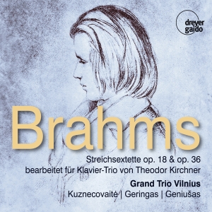 Grand Trio Vilnius - Johannes Brahms: String Sextets Opp in the group CD / Klassiskt at Bengans Skivbutik AB (5573902)