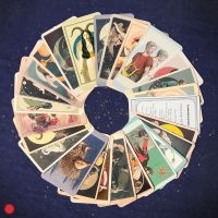 Everything Is Recorded - Porcupine Tattoo Feat Noah Cyrus & in the group Minishops / Noah Cyrus at Bengans Skivbutik AB (5574146)