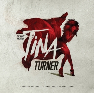Various Artists - Many Faces Of Tina Turner The (2 Lp in the group VINYL / Pop-Rock at Bengans Skivbutik AB (5574510)