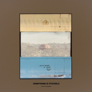 Peace Flag Ensemble - Everything Is Possible in the group VINYL / Jazz at Bengans Skivbutik AB (5574681)
