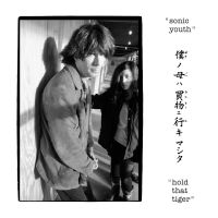 Sonic Youth - Hold That Tiger in the group VINYL / Bestsellers at Bengans Skivbutik AB (5574757)
