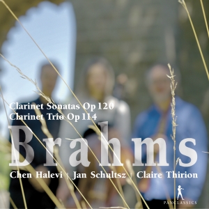 Brahms - Clarinet Sonatas Op. 120, Clarinet in the group CD / Klassiskt at Bengans Skivbutik AB (5575021)