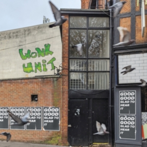 Wonk Unit - Good Good Glad To Hear It (Vinyl Lp in the group VINYL / Pop-Rock at Bengans Skivbutik AB (5575174)