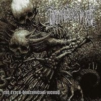 Lightning Swords Of Death - Extra Dimensional Wound The (2 Lp S in the group VINYL / Hårdrock at Bengans Skivbutik AB (5576260)