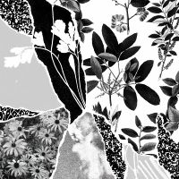 Ponctuation - Mon Herbier Du Monde Entier in the group VINYL / Pop-Rock at Bengans Skivbutik AB (5576286)