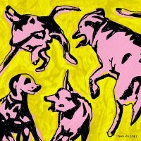 Jacobs Paul - Pink Dogs On The Green Grass in the group VINYL / Pop-Rock at Bengans Skivbutik AB (5576327)