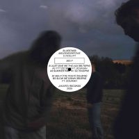 Bluestaeb Melodiesinfonie & S. Fid - 365 P in the group VINYL / Pop-Rock at Bengans Skivbutik AB (5576391)