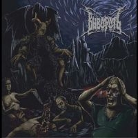 Vivorod - Vivorod in the group CD / Hårdrock at Bengans Skivbutik AB (5576543)