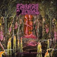 Carnal Tomb - Embalmed In Decay in the group CD / Hårdrock at Bengans Skivbutik AB (5576721)